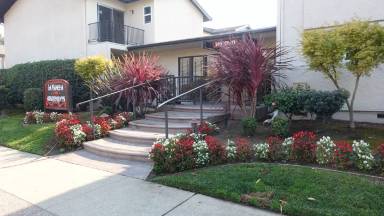 Main picture of 240 Hollis Ave