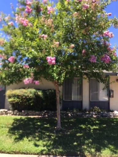 Main picture of 2601 Bravado Dr