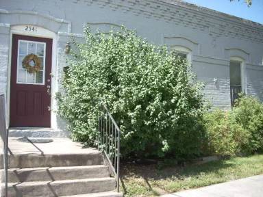 Main picture of 2541 Grove St