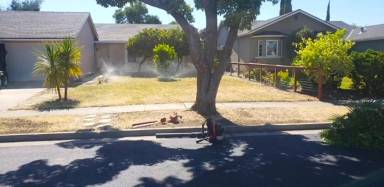 Main picture of 5938 Moraga Ave