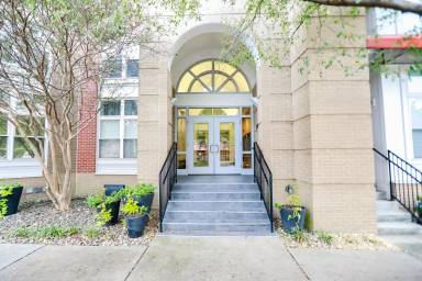 Main picture of 388 Boush St Apartments