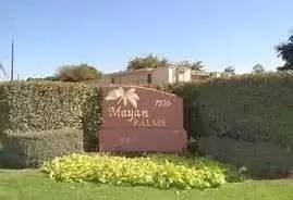 Main picture of Mayan Palms