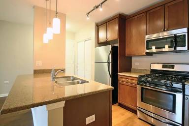 Main picture of 209 E Cullerton St
