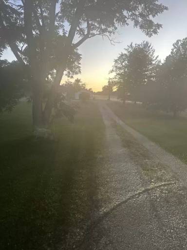 Main picture of 250 Buck Knobs Rd