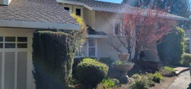 Main picture of 1409 Nut Tree Ln
