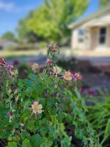 Main picture of 235 S Market St