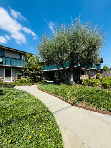 Main picture of The Montgomery Apartments