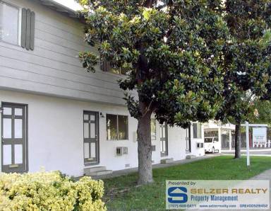 Main picture of 1119-1125 S Dora St