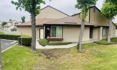 Main picture of 1115 Desert Willow Ln