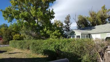 Main picture of 328 N 8th St