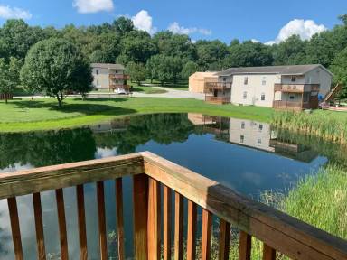 Main picture of 79 Tyler Ter