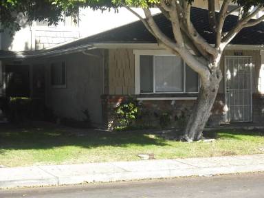 Main picture of 779 Halyard St