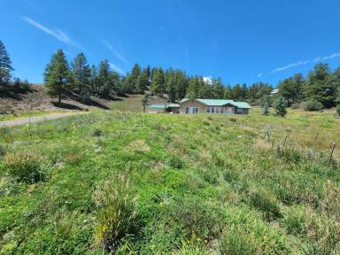 Main picture of 355 Coyote Dr