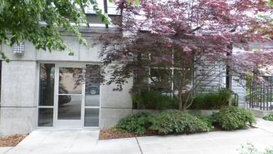 Main picture of Matae Belltown Condominiums