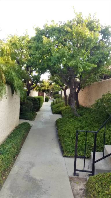Main picture of 823 Coriander Dr