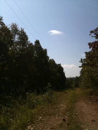 Main picture of Illinois River Ranch