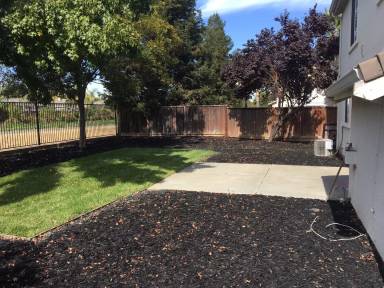 Main picture of 229 Brushwood Pl