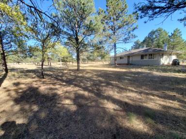 Main picture of 11165 Pine Meadows Rd
