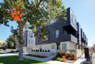 Main picture of 351 W 800 N