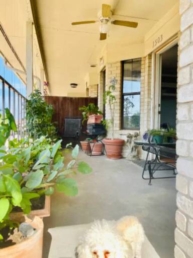 Main picture of 2611 Eisenhauer Rd