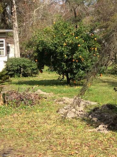 Main picture of 4232 Scenic Dr