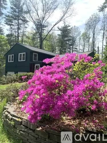 Main picture of 8 Elizabeth Ln