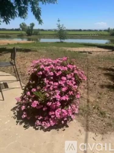 Main picture of 13501 Silva Ranch Rd