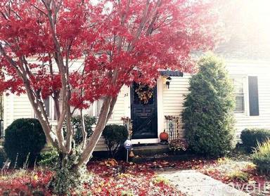 Main picture of 22 Martha St