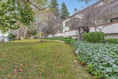 Main picture of 702 San Conrado Ter