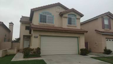 Main picture of 1577 Rainforest