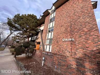 Main picture of The Viking