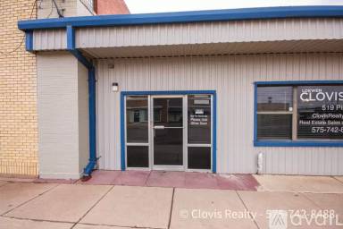 Main picture of 519 Pile St