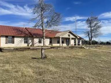 Main picture of 8044 N US Highway 87
