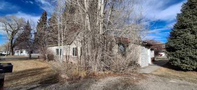 Main picture of 202 S 11th St