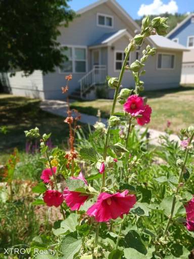 Main picture of 1121 Central Ave