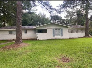 Main picture of 203 Valley Vista Dr
