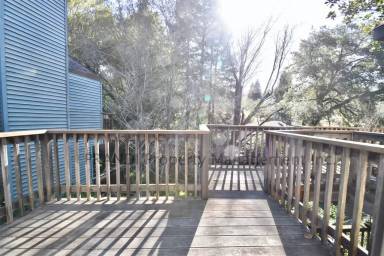 Main picture of 323 Bolinas Rd
