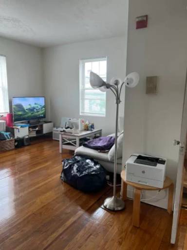 Main picture of 381 Ives St