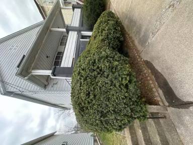 Main picture of 41 W Field St