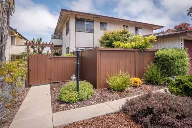 Main picture of 755 Pacific St