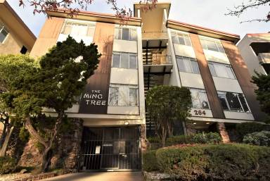 Main picture of 264 Lee St