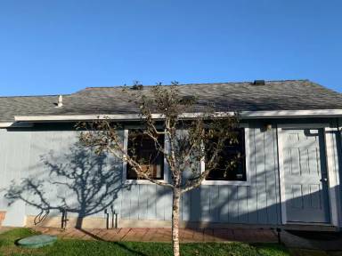 Main picture of 311 Trinity St