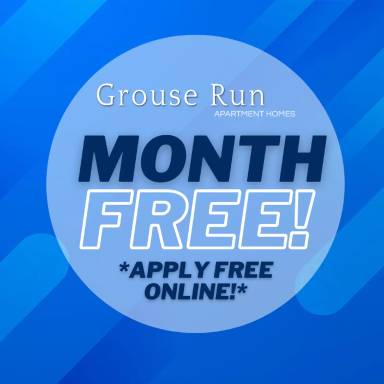 Main picture of Grouse Run Apartments