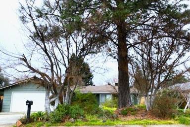 Main picture of 1950 Cameo Ct