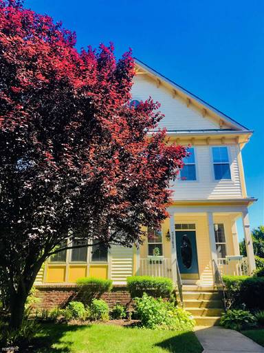 Main picture of 3841 Braveheart Dr