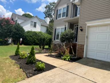 Main picture of 125 Timberleaf Dr